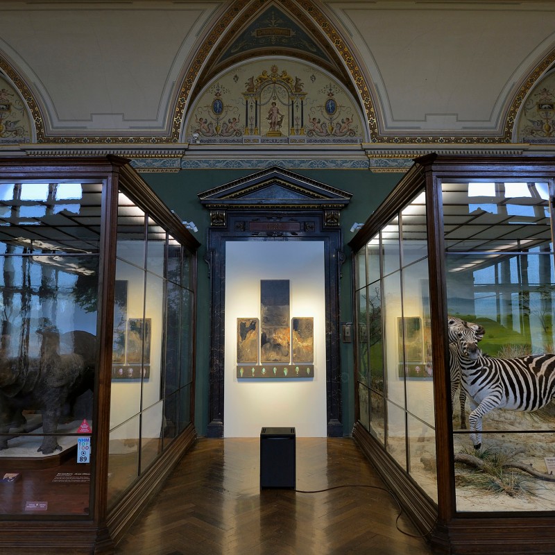View into an ornate exhibition hall with two large glass display cases, zebras in natural poses on the right, dark
                                 animal specimens on the left, illuminated painting in the center. (AI-generated alt-text, generated with GPT-4.1-mini)