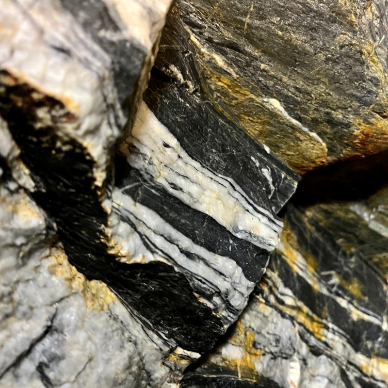 Nahaufnahme von Gesteinsschichten im Schichtkalk mit schwarzen, weißen und gelblichen Bändern. (KI-generierter Alt-Text,
                                 erstellt mit GPT-4.1-mini)