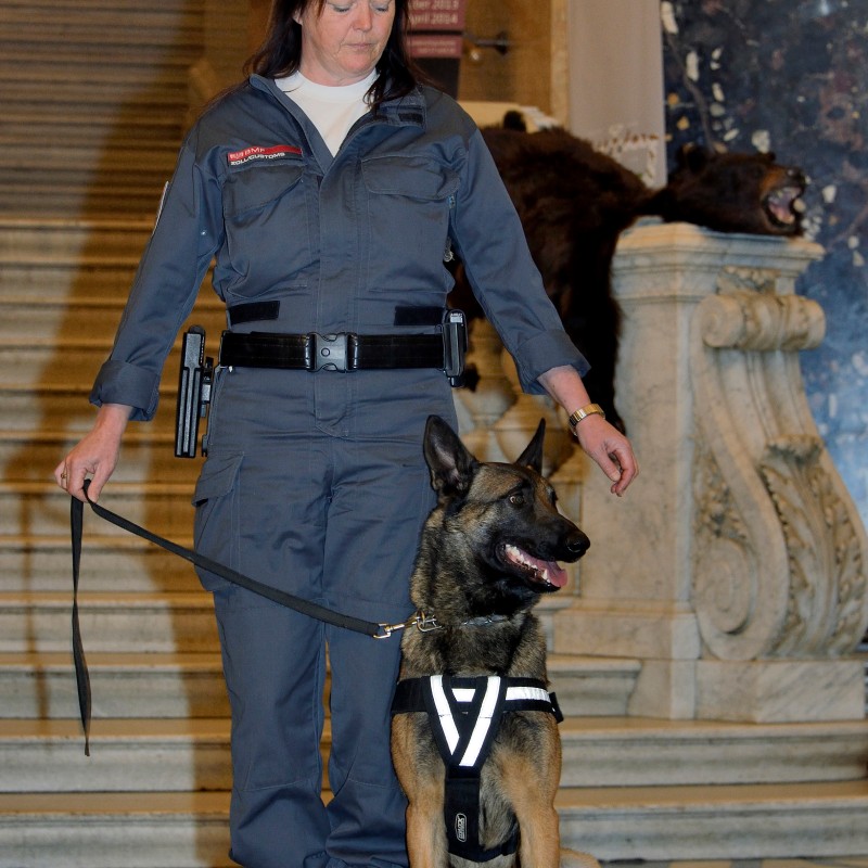 Woman in dark blue uniform holding leashed dog with harness. Both stand on patterned floor in front of stone staircase.
                                 (AI-generated alt-text, generated with GPT-4.1-mini)