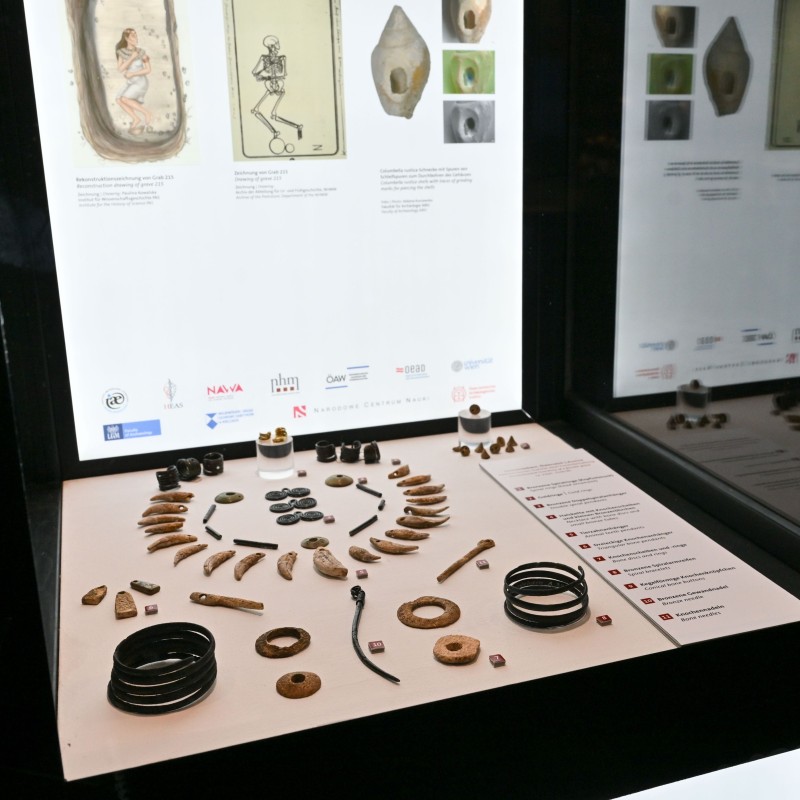 Neue Vitrine mit Schmuck aus Gräbern der frühen Bronzezeit im NHM Wien