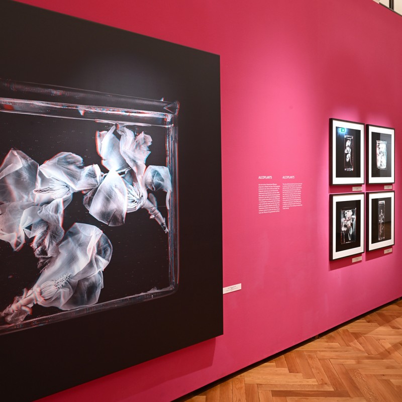 Ausstellungsräume mit Fotografien