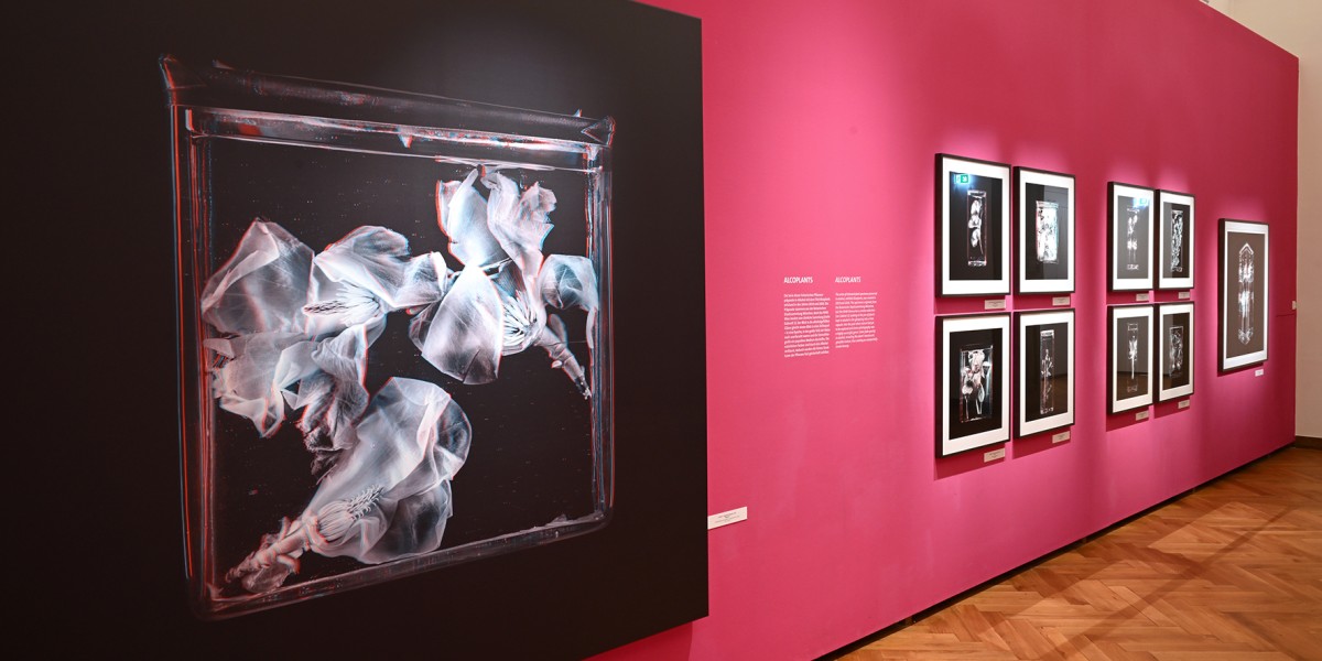 Ausstellungsräume mit Fotografien