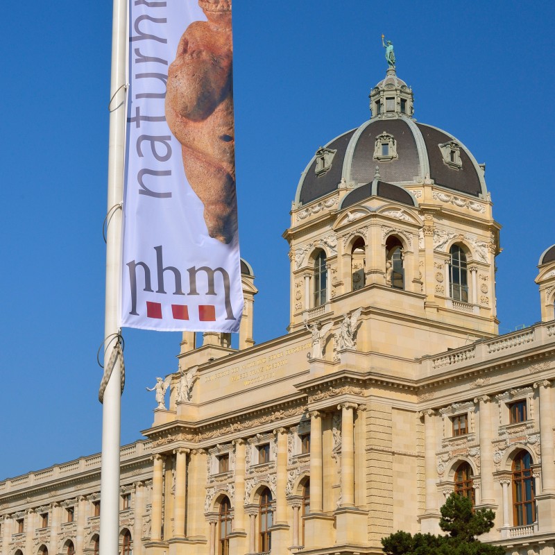 Fahne mit Aufdruck und Gebäudefassade des Naturhistorischen Museums Wien, helles Mauerwerk, markante Kuppel im Hintergrund.
                                 (KI-generierter Alt-Text, erstellt mit GPT-4.1-mini)