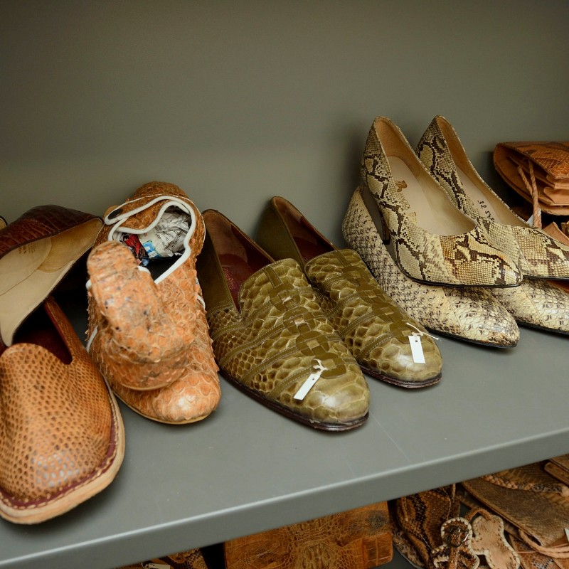 Various shoes and bags made of snake and reptile leather on a shelf in a storage room. (AI-generated alt-text, generated
                                 with GPT-4.1-mini)