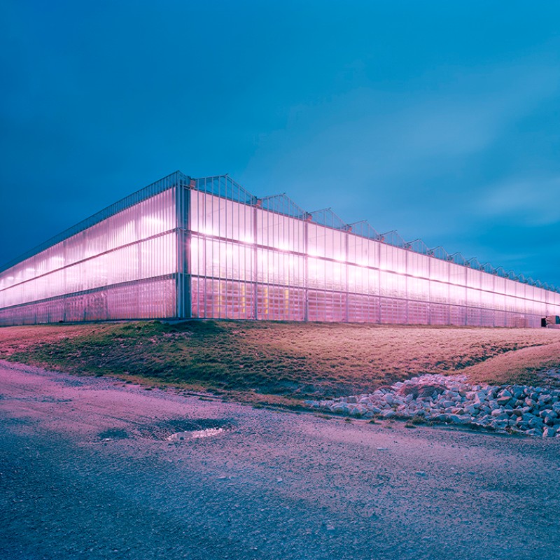 Gewächshaus, Morehead, Kentucky, USA, 2023