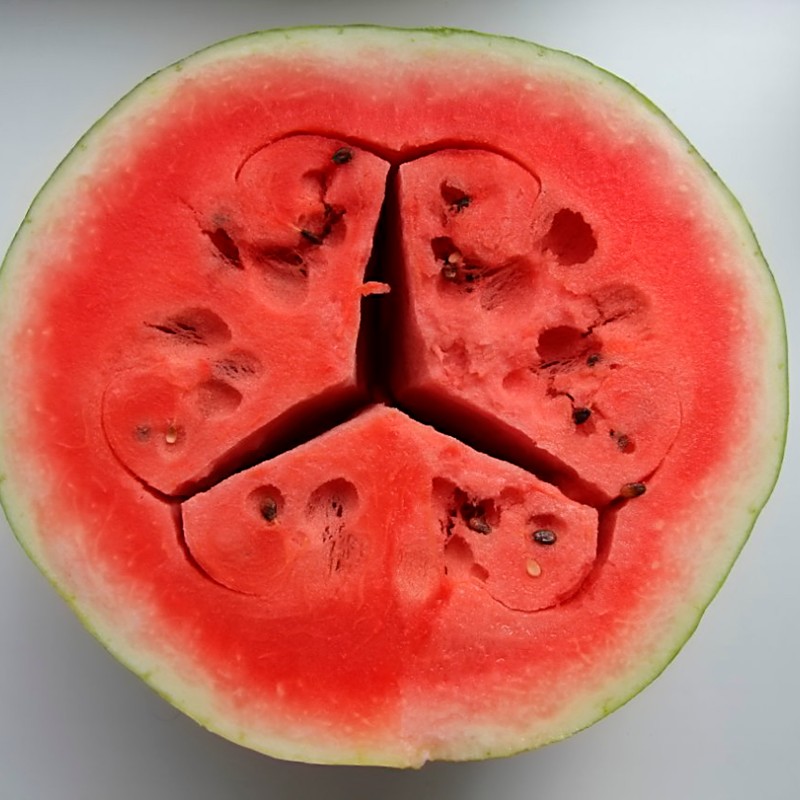 Half a watermelon with a peace sign cut into the flesh. (AI-generated alt-text, generated with GPT-4.1-mini)