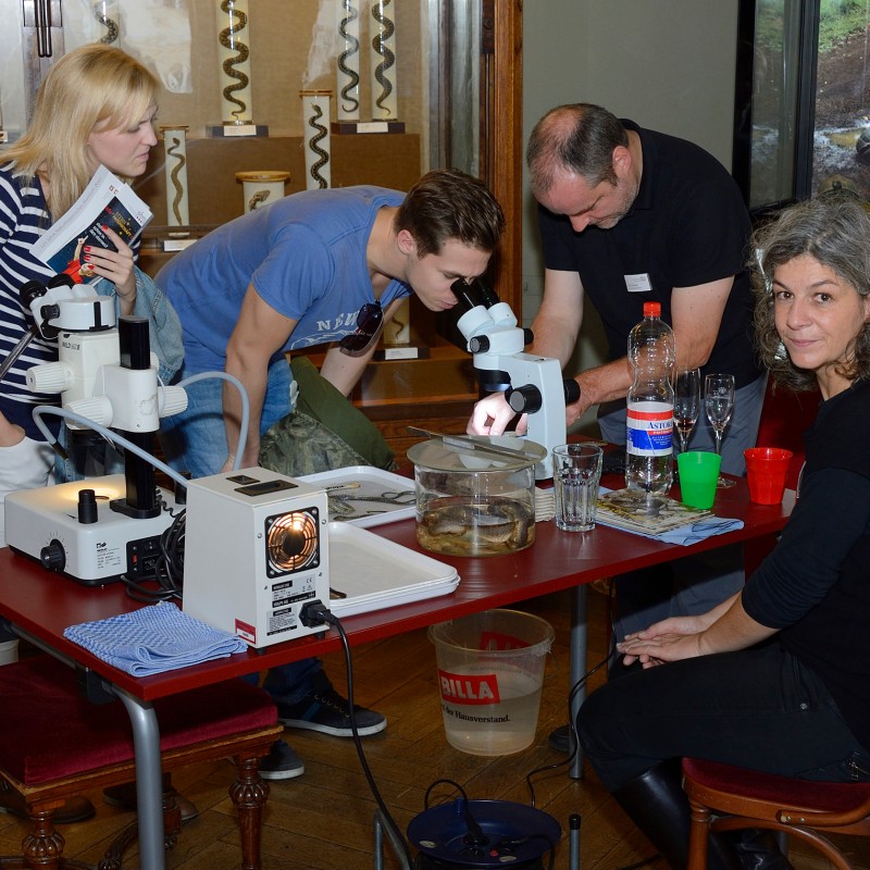 Vier Erwachsene an einem Tisch mit Mikroskopen, Flüssigkeiten und Proben; eine Frau blickt lächelnd zur Kamera.
                                 (KI-generierter Alt-Text, erstellt mit GPT-4.1-mini)