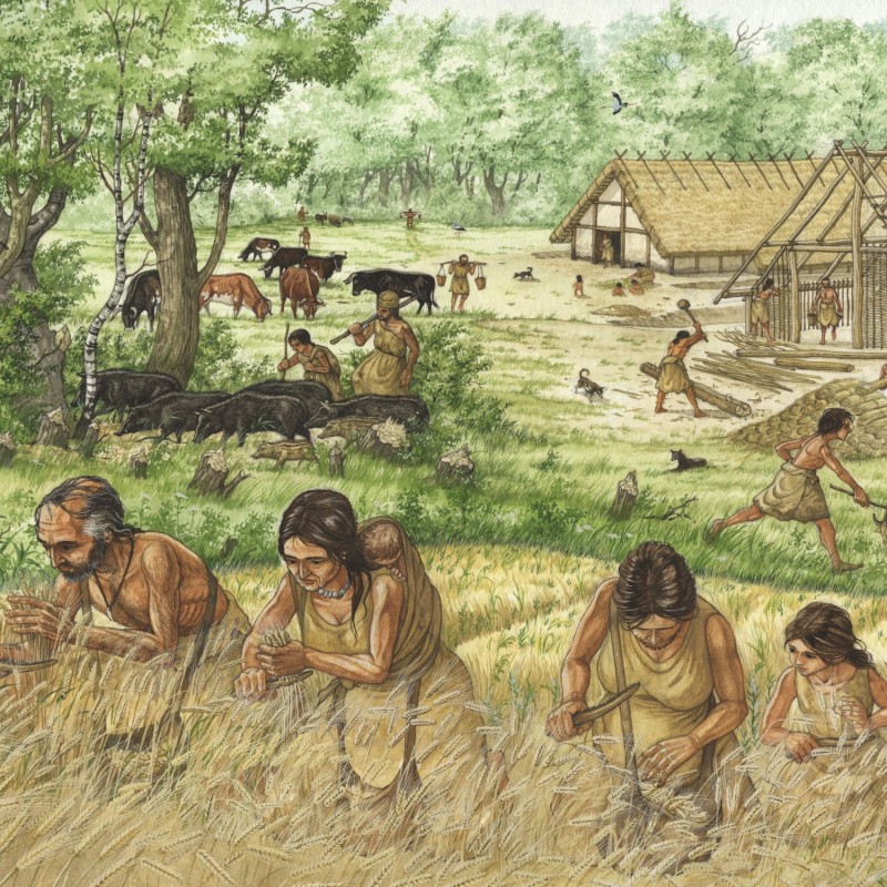 Schematische
                                 Darstellung des Lebens im frühen Neolithikum