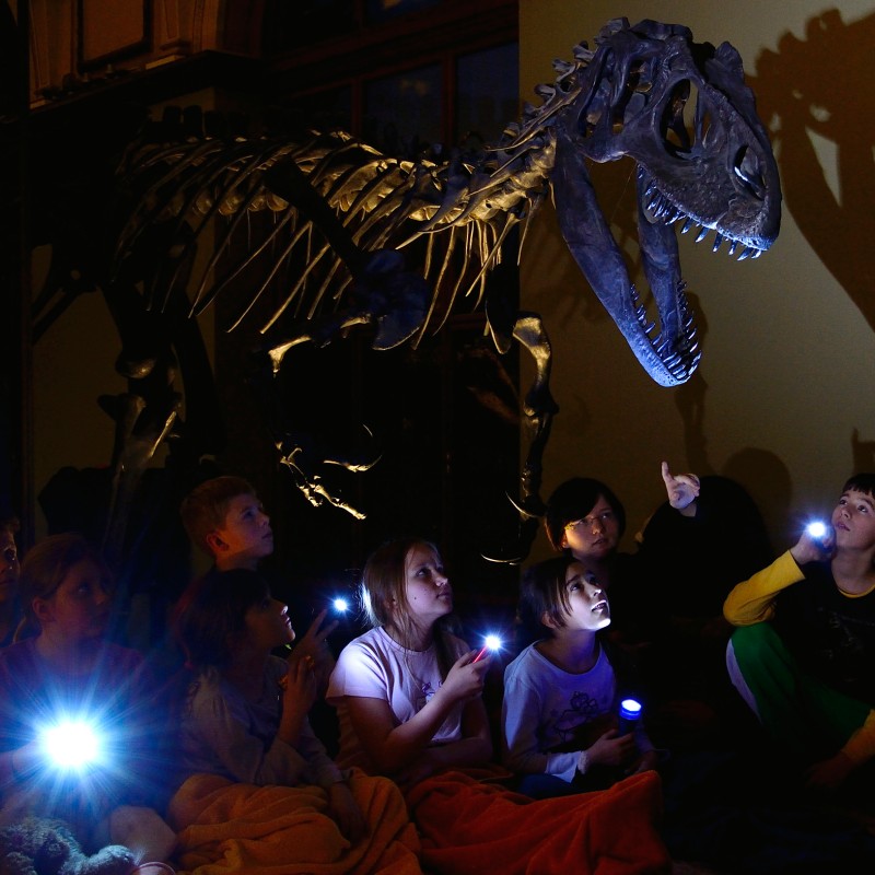 Group of
                                 children with flashlights sitting in front of a large dinosaur skeleton in a dark exhibition hall. (AI-generated alt-text,
                                 generated with GPT-4.1-mini)