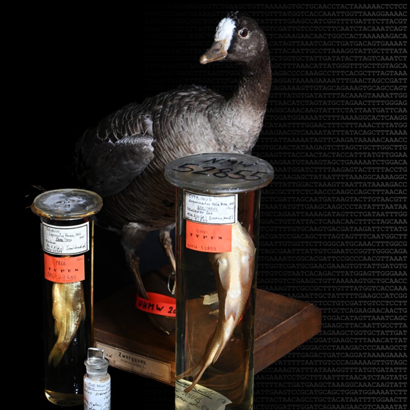 Moderne
                                 Genomik-Technologien machen es möglich, 