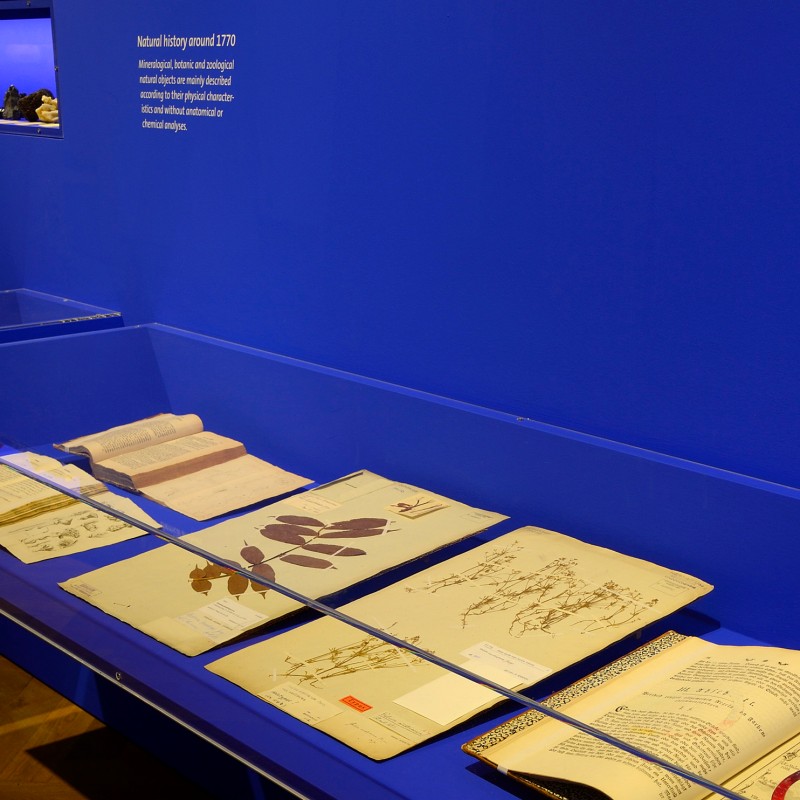 Several old, open books with natural history illustrations and text lie in a glass display case against a blue background.
                                 (AI-generated alt-text, generated with GPT-4.1-mini)