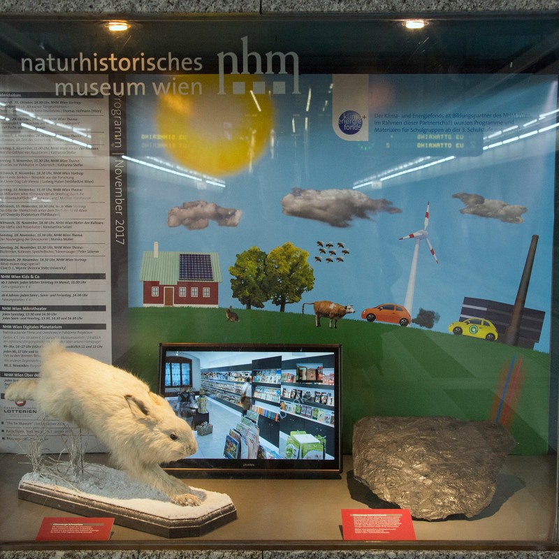 Vitrine
                                 mit ausgestopftem Nagetier, großem Gesteinsbrocken, Bildschirm und farbigem Schaubild zu erneuerbaren Energien. (KI-generierter
                                 Alt-Text, erstellt mit GPT-4.1-mini)