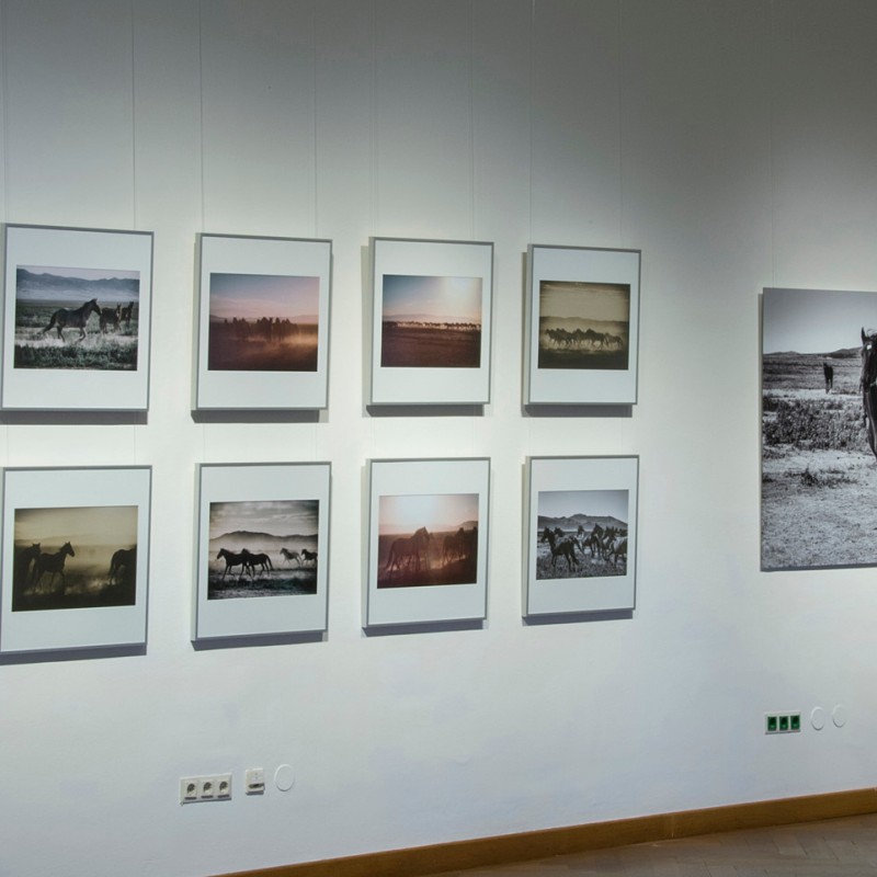 Gallery wall with multiple framed photographs of landscapes and horses, next to a large section of text. (AI-generated
                                 alt-text, generated with GPT-4.1-mini)