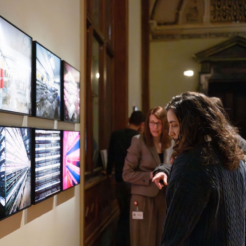 Visitors to the exhibition
                                 