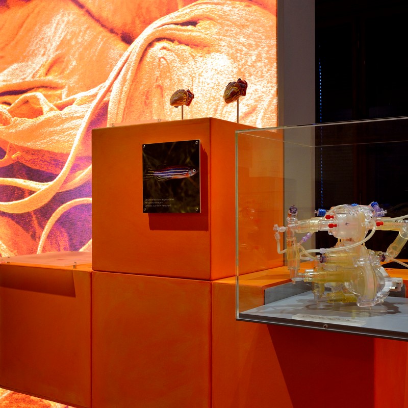 Vitrine mit transparentem mechanischem Modell auf orangefarbenem Sockel, daneben gerahmtes Objekt und leuchtendes
                                 Display mit fadenartigen Strukturen im Hintergrund. (KI-generierter Alt-Text, erstellt mit GPT-4.1-mini)