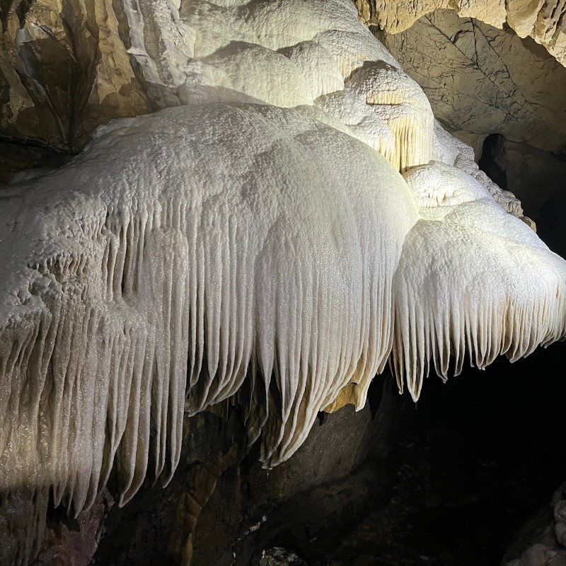 Großer
                                 weißlicher Sintervorhang mit vielen langen, dünnen Tropfsteinen in einer Höhle, von oben beleuchtet. (KI-generierter Alt-Text,
                                 erstellt mit GPT-4.1-mini)