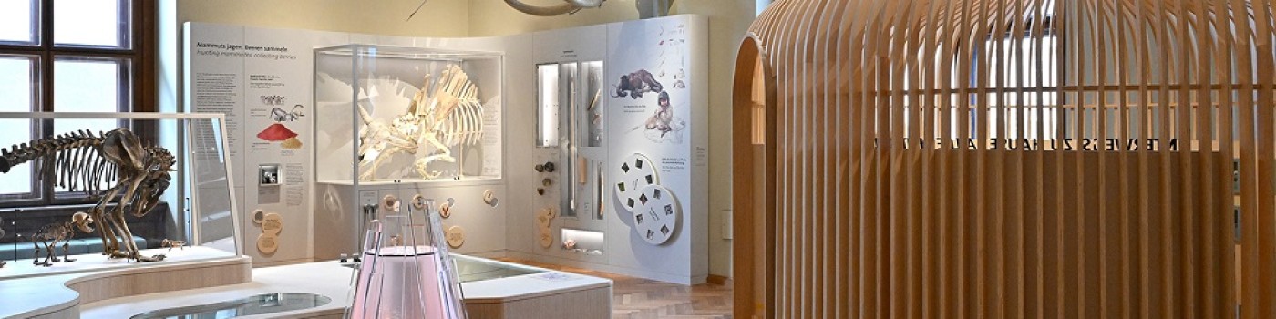 : © NHM Vienna, C. Potter