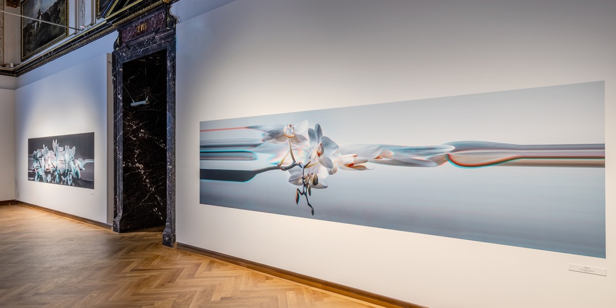 Ausstellungsraum mit 3D-Fotos