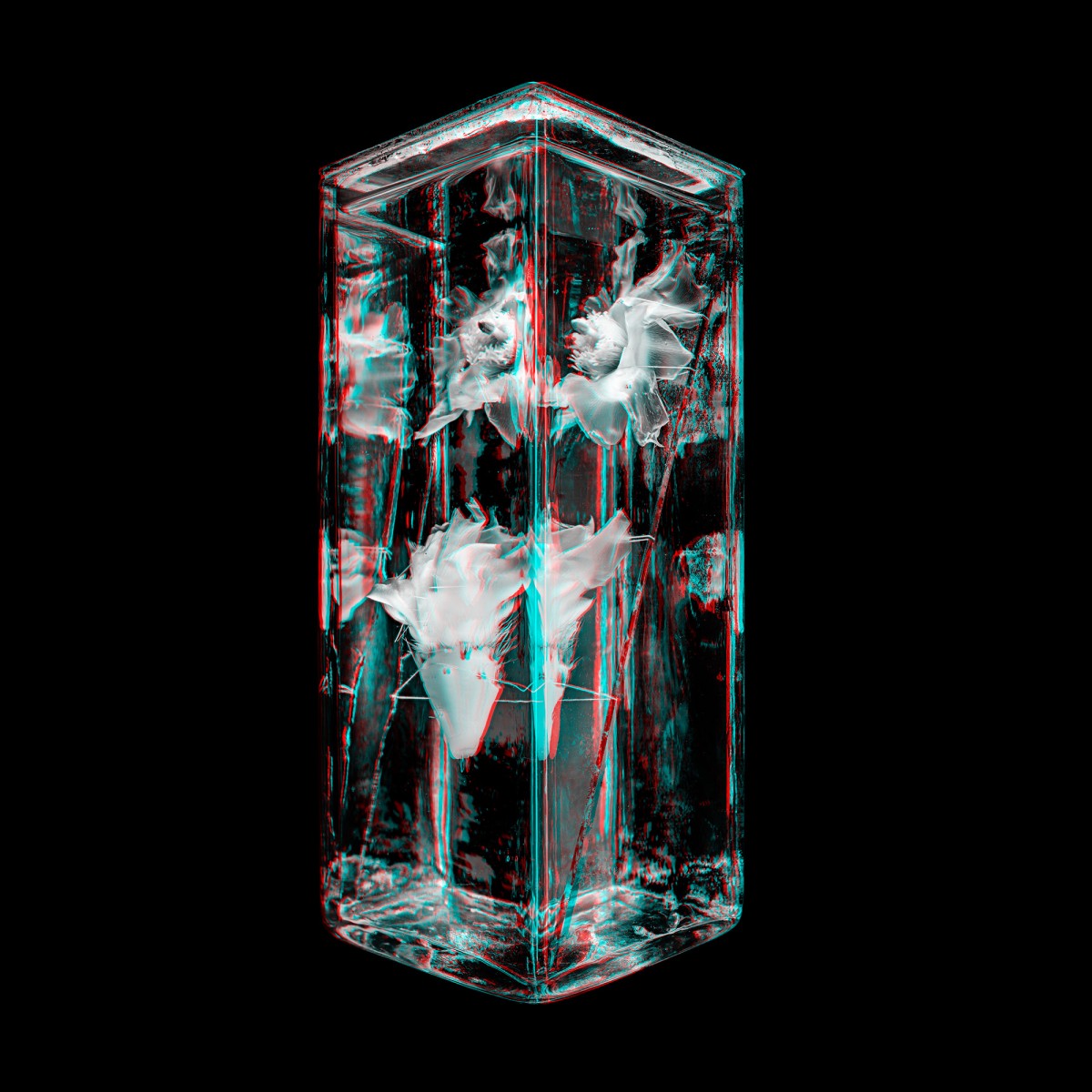 : ein 3D-Bild aus der Ausstellung "Two Views on Plants" im NHM Wien