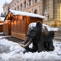 : (C) NHM-Wien/Rittmannsperger