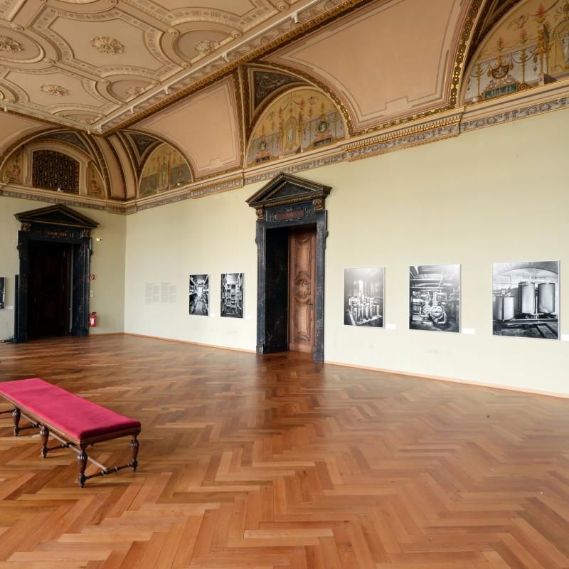 Ausstellung Insides im Saal 21; © NHM Wien,
                                 Alice Schumacher