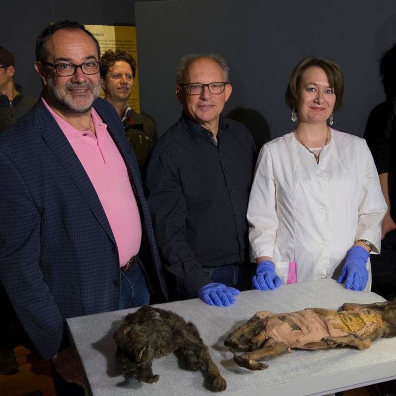 Three adults stand behind a table with two preserved animal specimens; a woman in a white coat wears blue gloves.
                                 Additional people in the background. (AI-generated alt-text, generated with GPT-4.1-mini)