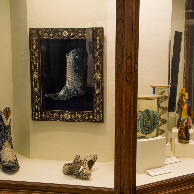 Display case with embroidered boots, a framed picture of the same boot, several bottles, and objects with snakeskin
                                 patterns. (AI-generated alt-text, generated with GPT-4.1-mini)
