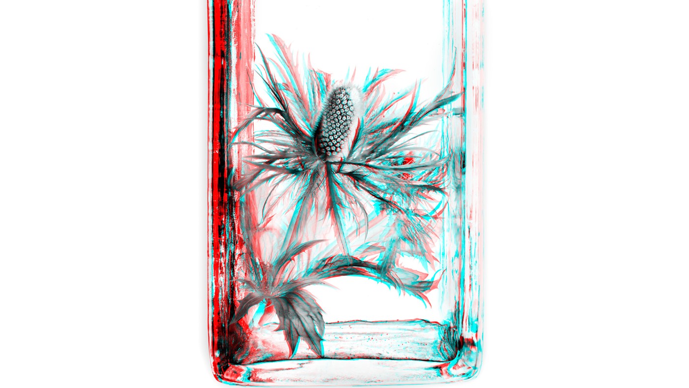 Two Views on Plants © Sebastian Cramer