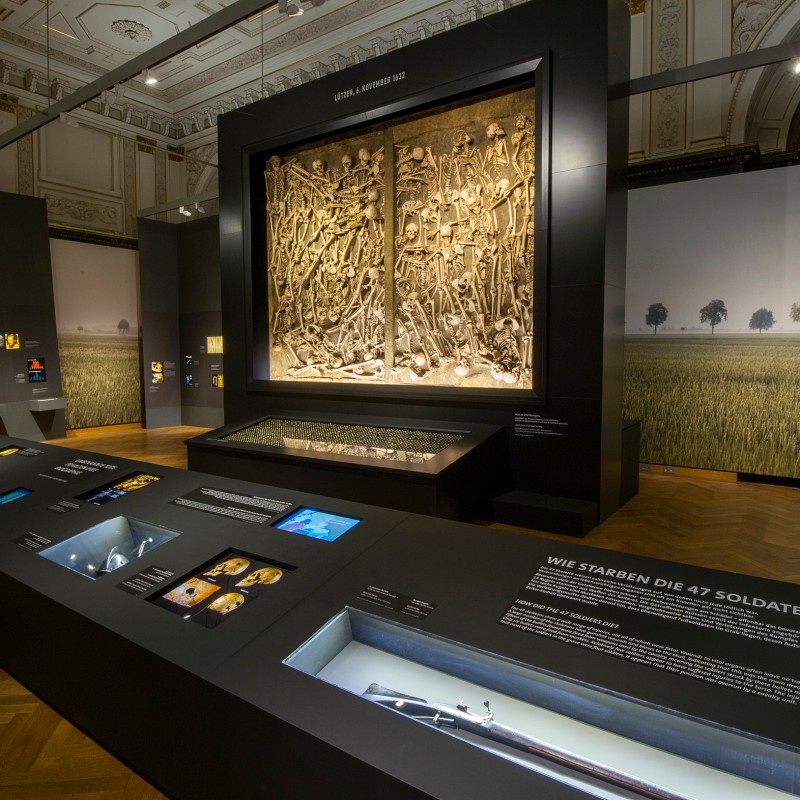 Museumsausstellung mit einem großformatigen Relief im Zentrum, umgeben von Vitrinen mit Fundstücken und erklärenden
                                 Texten. Im Hintergrund eine Landschaftsfotografie mit Bäumen. (KI-generierter Alt-Text, erstellt mit GPT-4.1-mini)