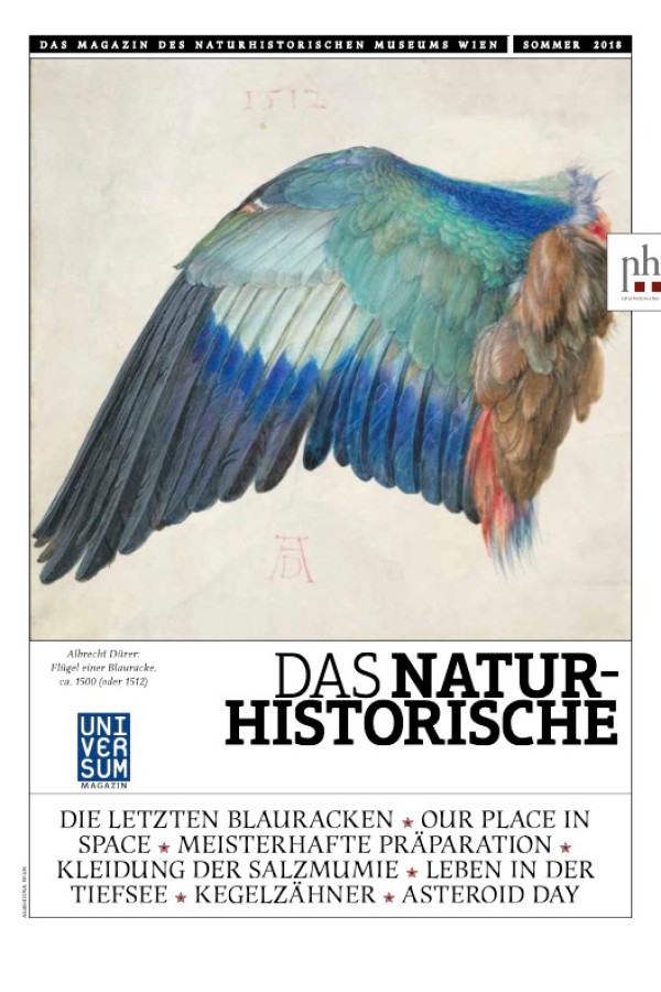 Großer,
                                 bunter Flügel ausgebreitet auf weißem Hintergrund, darunter schwarze und bronzefarbene Schrift. Am oberen Rand gelber Balken
                                 mit Magazinangaben. (KI-generierter Alt-Text, erstellt mit GPT-4.1-mini)