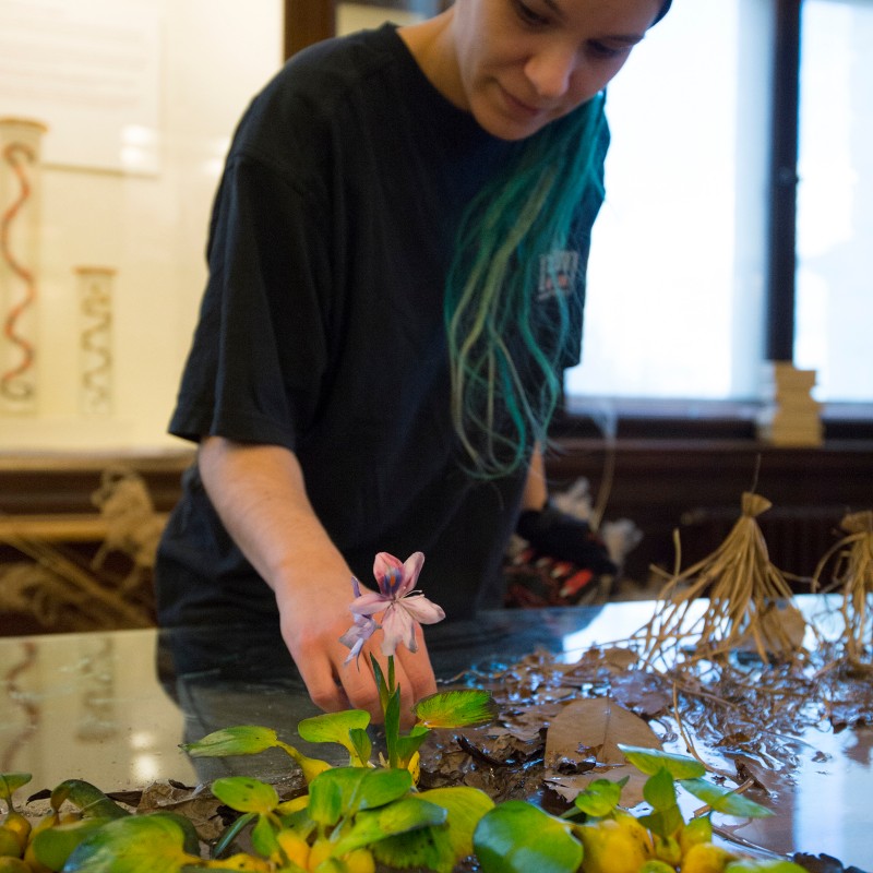 Young woman with a long dark headband and turquoise hair strands looks at a water plant with a pink flower, gently
                                 touching it. Other leaves and plant debris float on the water surface. (AI-generated alt-text, generated with GPT-4.1-mini)