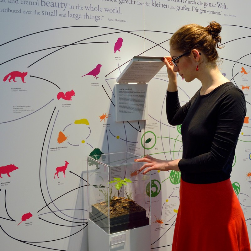 Frau mit Brille und zusammengebundenen Haaren betrachtet Pflanzenvitrine vor Infografik mit Tiersilhouetten, Linien
                                 und Symbolen. (KI-generierter Alt-Text, erstellt mit GPT-4.1-mini)