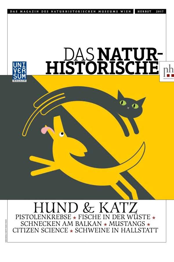 Illustration
                                 eines gelben Hundes und einer schwarzen Katze in geschwungener Form auf einem diagonal geteilten gelb-dunkelgrauen Hintergrund.
                                 (KI-generierter Alt-Text, erstellt mit GPT-4.1-mini)