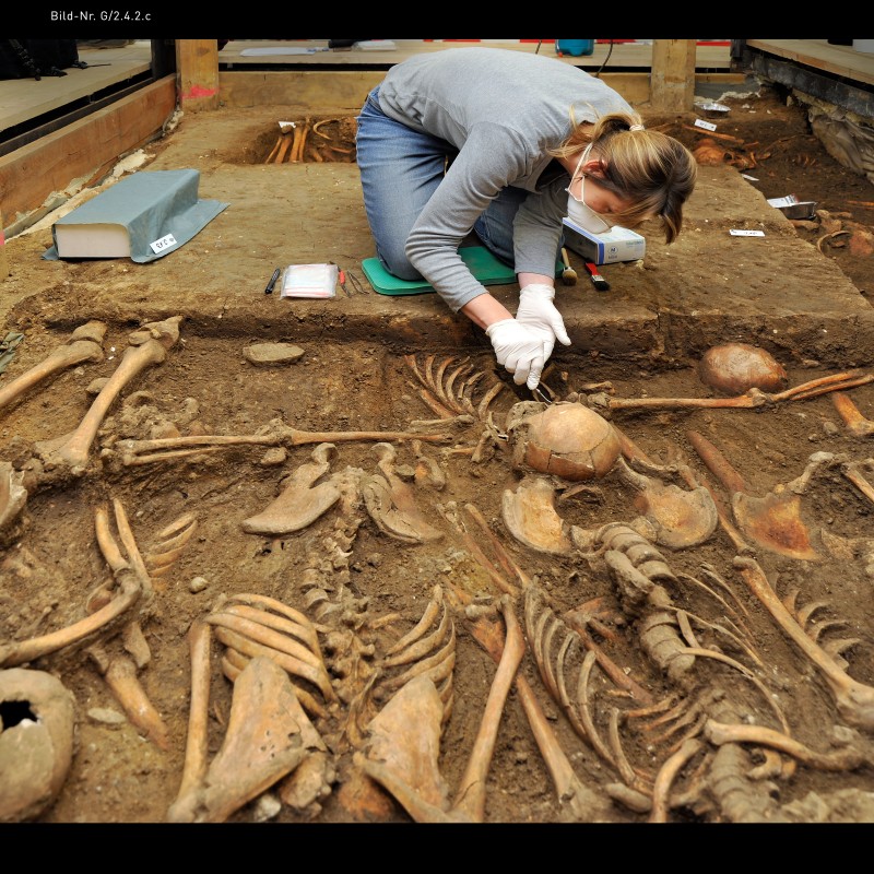 Woman wearing gloves and mask examining unearthed human skeletons at an archaeological excavation site. (AI-generated
                                 alt-text, generated with GPT-4.1-mini)