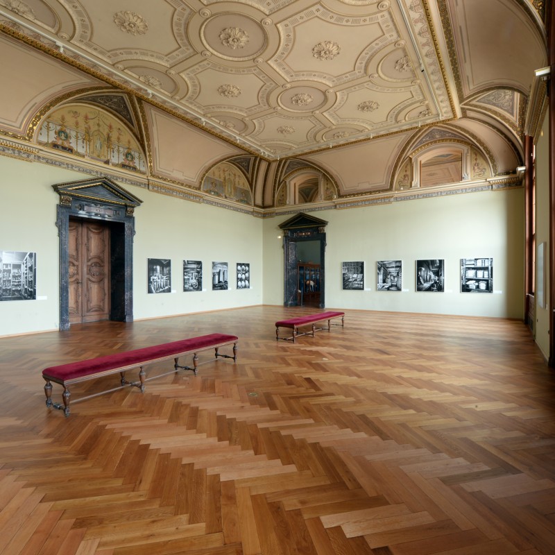 Ausstellung Insides im Saal 21; © NHM Wien,
                                 Alice Schumacher