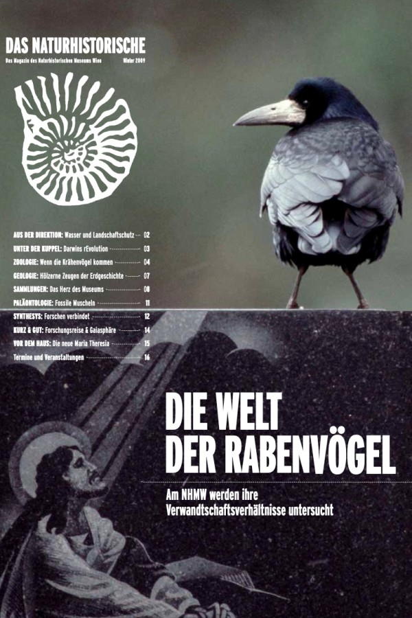 Rabenähnlicher Vogel sitzt auf einem hölzernen Pfosten, darüber Titelseite mit fossiler Ammonitenzeichnung und verschiedenen
                                 Artikellisten. Prägnanter weißer Titeltext unten über grauem Hintergrund. (KI-generierter Alt-Text, erstellt mit GPT-4.1-mini)