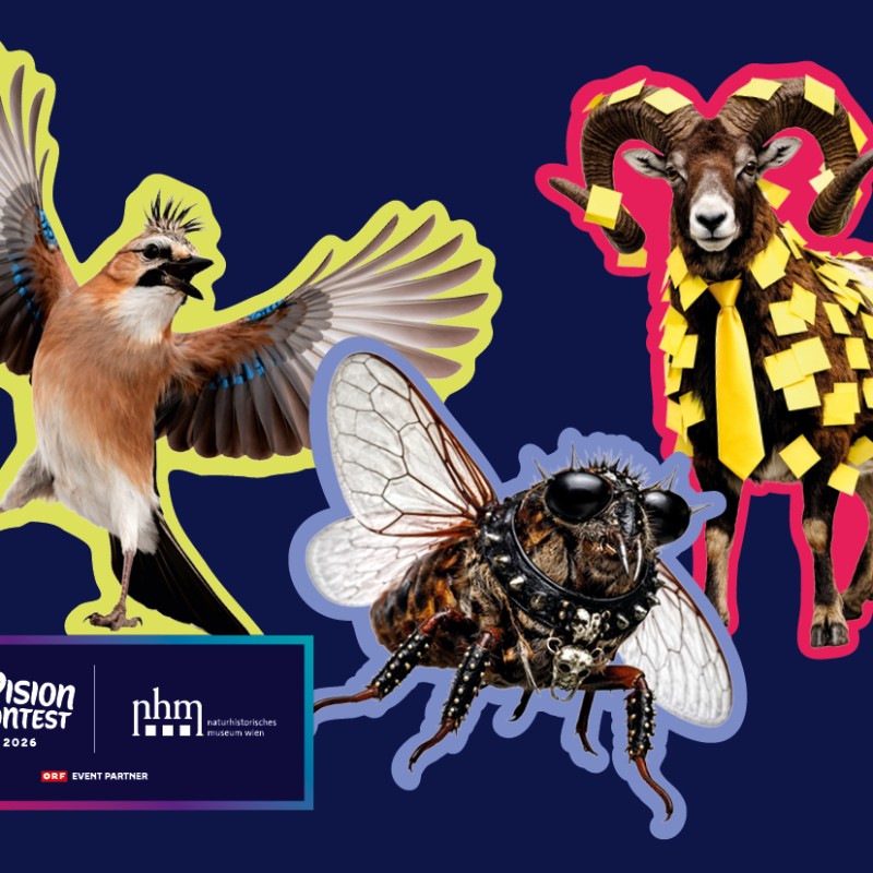 Grafisch bearbeitete Tiere