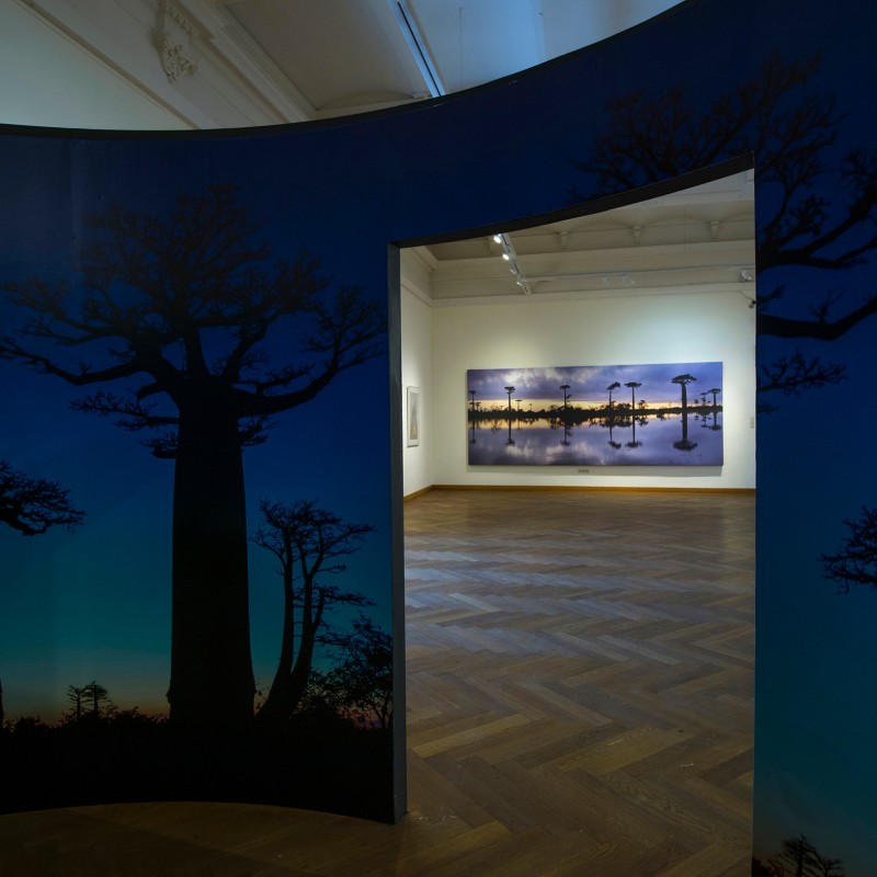 Large
                                 exhibition hall with a curved dark blue wall featuring silhouetted baobab trees. In the background, a panorama shows baobab
                                 reflections in water. (AI-generated alt-text, generated with GPT-4.1-mini)