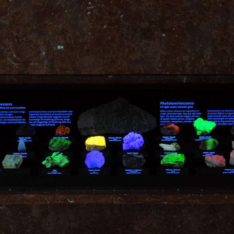 Display case with brightly glowing minerals in various colors under ultraviolet light, above blue information panels
                                 with white text. (AI-generated alt-text, generated with GPT-4.1-mini)