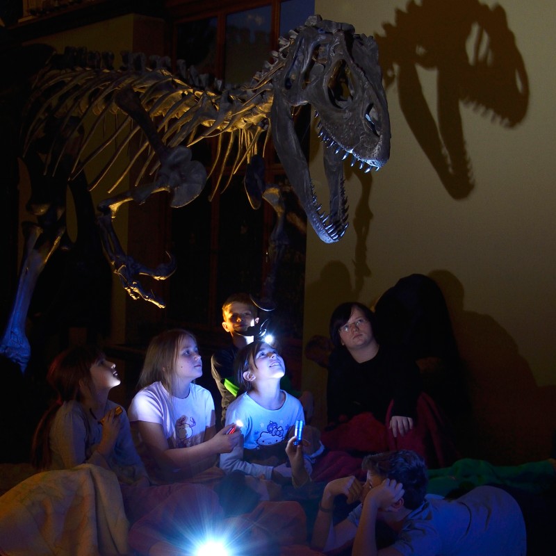 Several children and one adult sit in the dark in front of a dinosaur skeleton. Flashlights create beams of light
                                 and cast shadows on the wall. (AI-generated alt-text, generated with GPT-4.1-mini)
