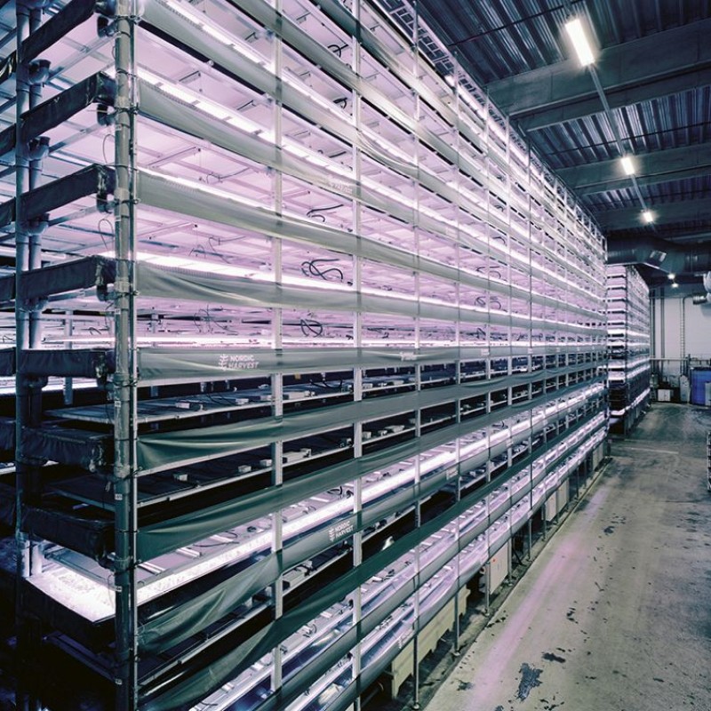 Vertikale Landwirtschaft, Kopenhagen, Dänemark, 2023