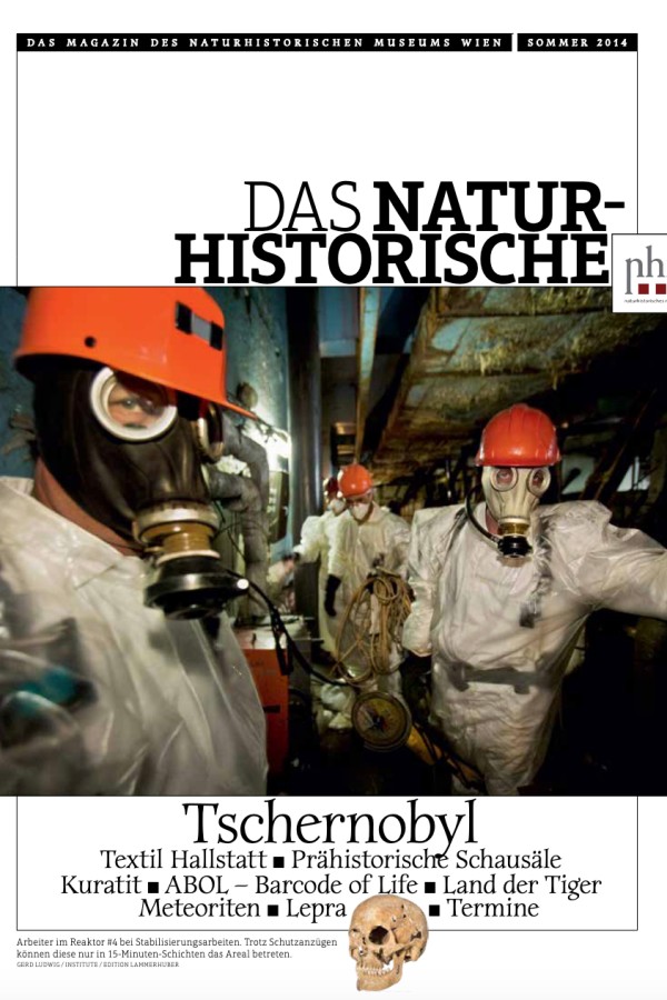 Personen
                                 in Schutzanzügen und Gasmasken mit orangen Schutzhelmen in einem engen, dunklen Innenraum mit Metallstrukturen. (KI-generierter
                                 Alt-Text, erstellt mit GPT-4.1-mini)