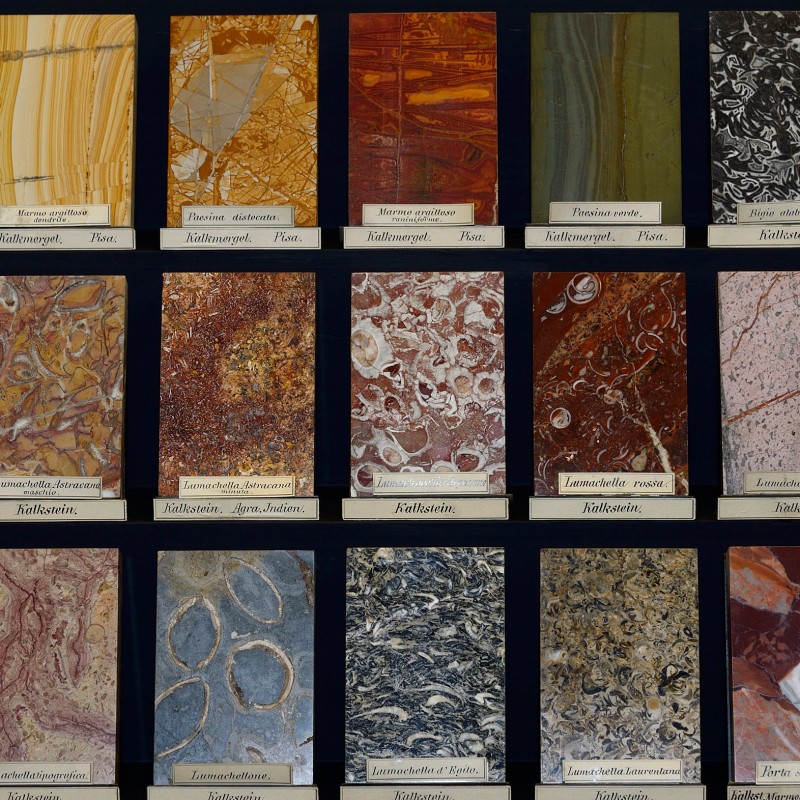 Mehrere rechteckige Platten aus unterschiedlich gemasertem und gefärbtem Gestein in Reihen angeordnet, jeweils mit
                                 kleinen Etiketten versehen. (KI-generierter Alt-Text, erstellt mit GPT-4.1-mini)
