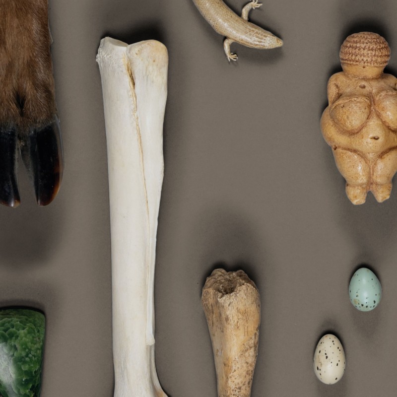 Plakat zur Ausstellung 