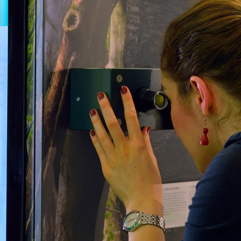 Frau mit roten Ohrringen schaut durch ein optisches Gerät an einer Ausstellungstafel. (KI-generierter Alt-Text,
                                 erstellt mit GPT-4.1-mini)