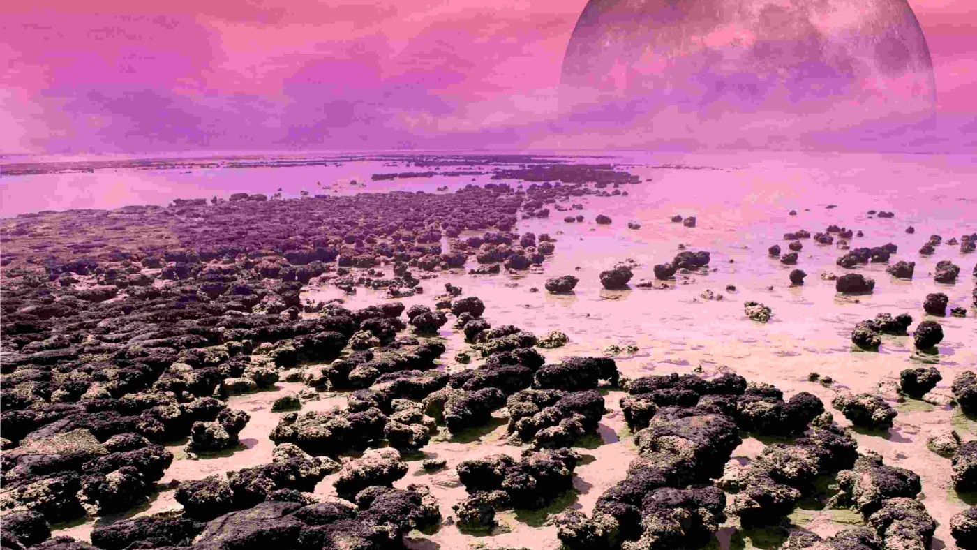 : Sea coast with stromatolites more than 2 billion years ago. Methane colored the early oxygen atmosphere pink. The Moon was closer to the Earth than it is today. 
© NHM Vienna, Mathias Harzhauser