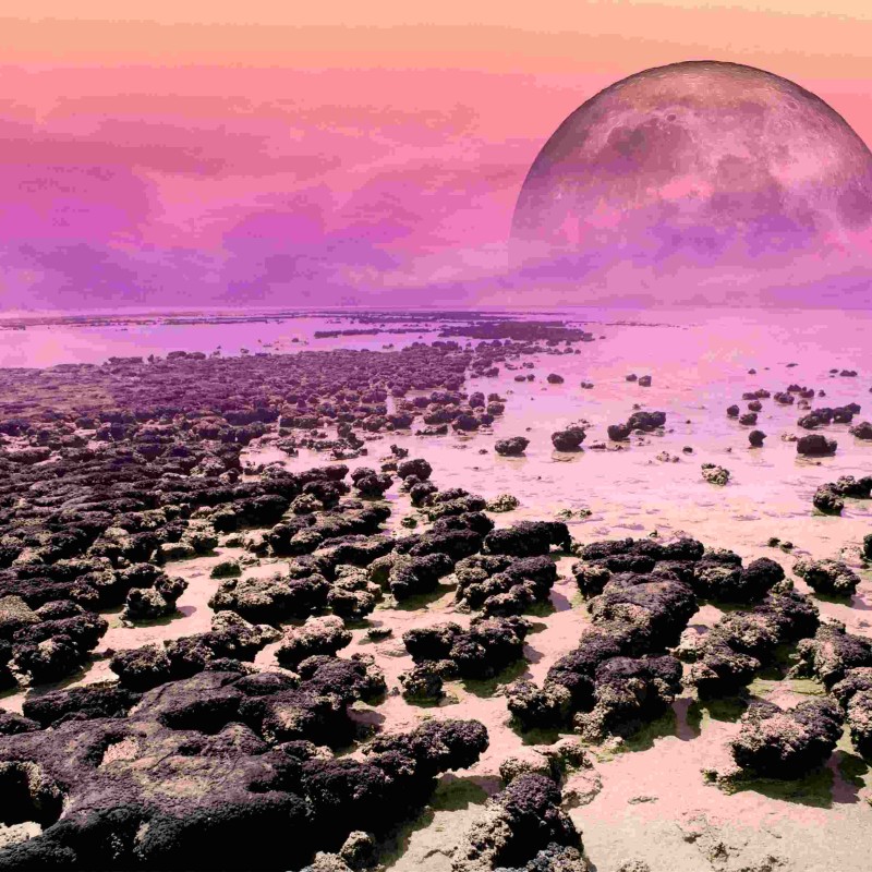 Meeresküste mit Stromatolithen vor mehr als zwei Milliarden Jahren. Methan färbte die frühe Sauerstoff-Atmosphäre
                                 rosa. Der Mond war der Erde näher als heute. © NHM Wien, Mathias Harzhauser