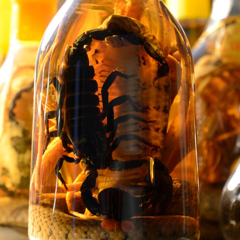 Clear bottle with a scorpion and a snake in yellow liquid, surrounded by other similar bottles. (AI-generated alt-text,
                                 generated with GPT-4.1-mini)