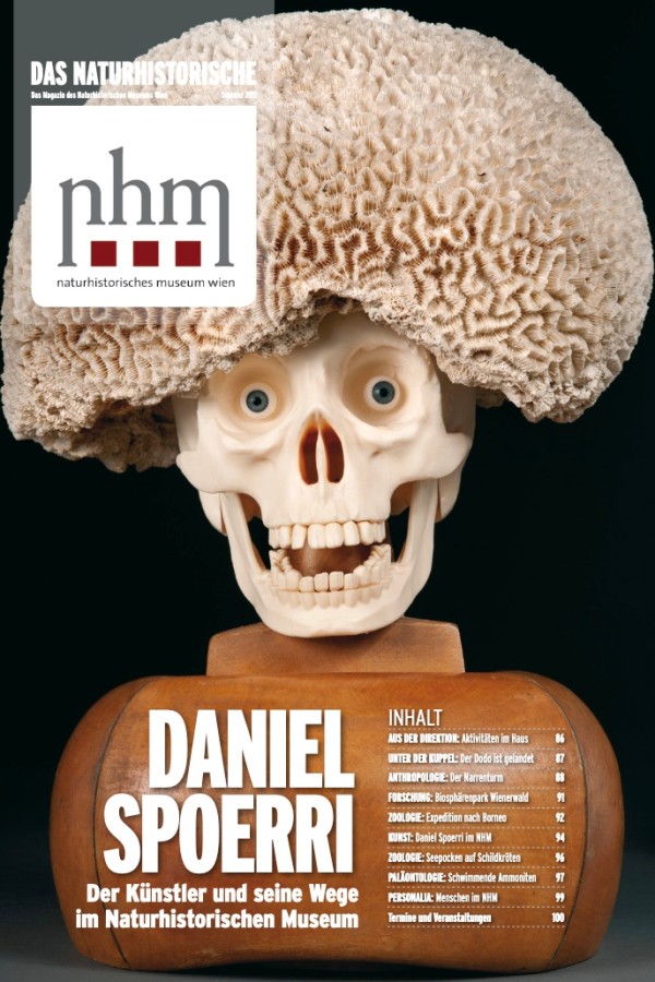 Schädelmodell
                                 mit offenem Mund und großer Koralle auf dem Kopf; auf dem Sockel steht in weißen Buchstaben: ‚DANIEL SPOERRI Der Künstler
                                 und seine Wege im Naturhistorischen Museum‘ sowie eine Inhaltsangabe. (KI-generierter Alt-Text, erstellt mit GPT-4.1-mini)