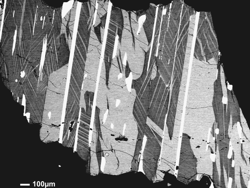 BSE picture of various mineral phases from the Lengenbach quarry (Switzerland): searching for new minerals.: BSE picture of various mineral phases from the Lengenbach quarry (Switzerland): searching for new minerals.